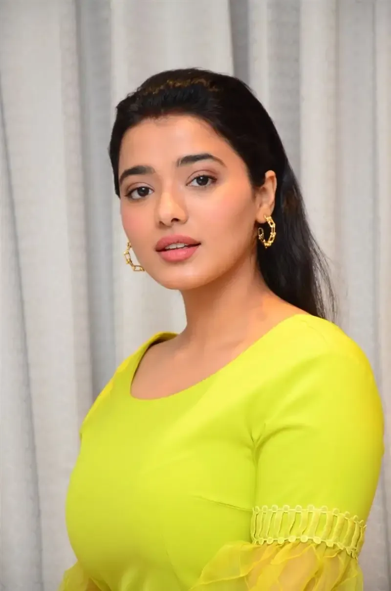 TOLLYWOOD ACTRESS KETIKA SHARMA IN LIGHT GREEN YELLOW DRESS 20